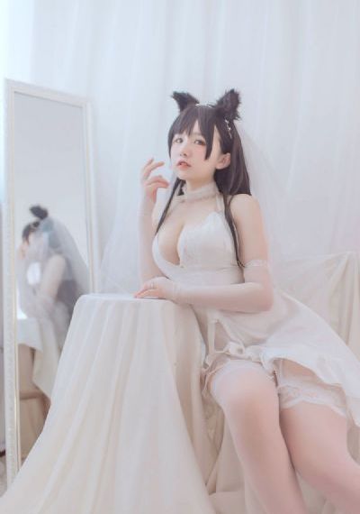 南部档案电视剧免费观看